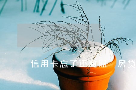 信用卡忘了还逾期 房贷 信用卡忘了还逾期 房贷
